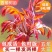香椿苗优质苗，红油香椿苗绿油适合南北方种植，四季可种植植