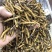 那曲冬虫夏草虫草批发藏区虫草冻干虫草全干虫草