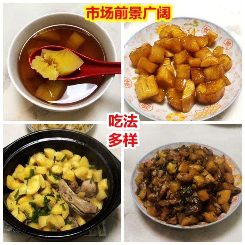 黄肉木薯种子黄肉木薯苗高产木薯茎
