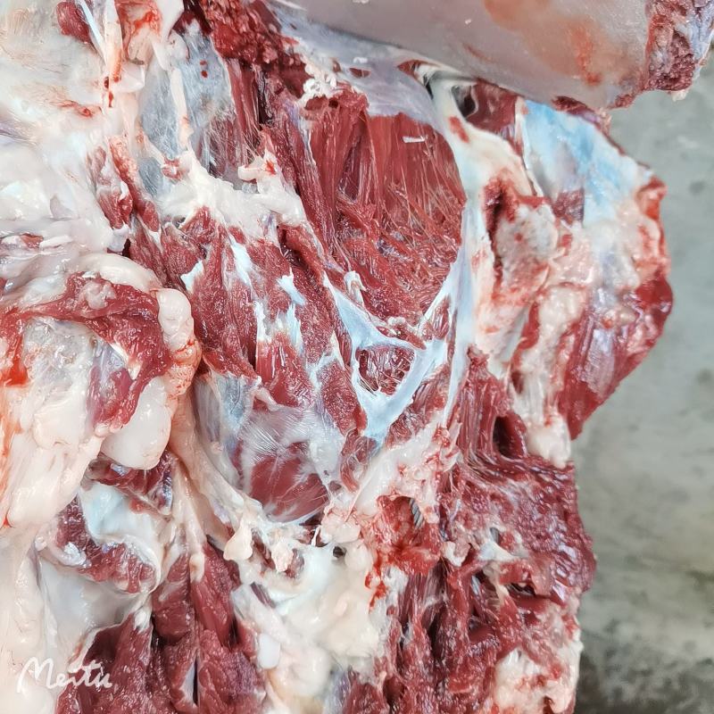 新鲜驴肉带皮驴肉鲜驴肠厂家直销价格美丽现杀现宰品一手货源