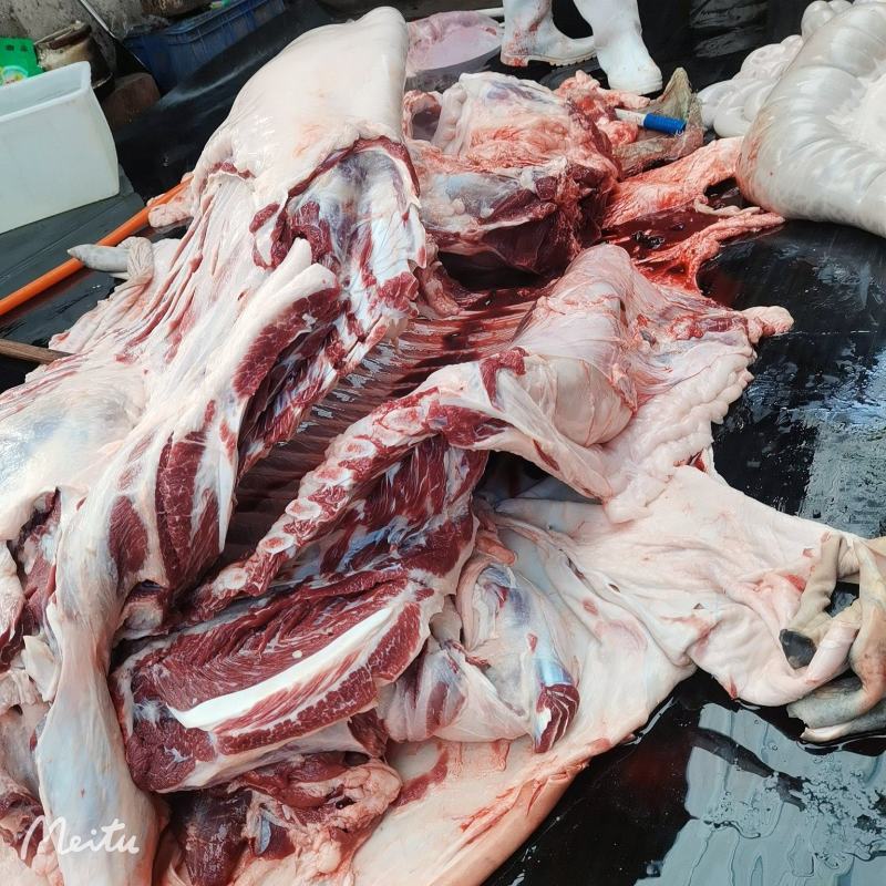 新鲜驴肉带皮驴肉鲜驴肠厂家直销价格美丽现杀现宰品一手货源