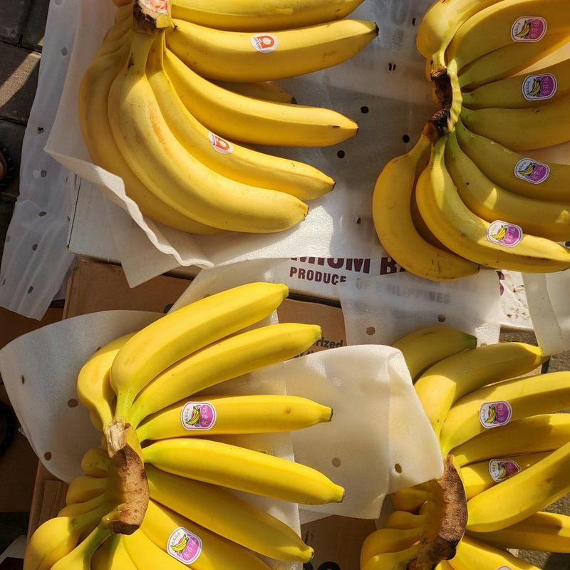 进口香蕉实力供应，一手货源，质量稳定，货源充足！
