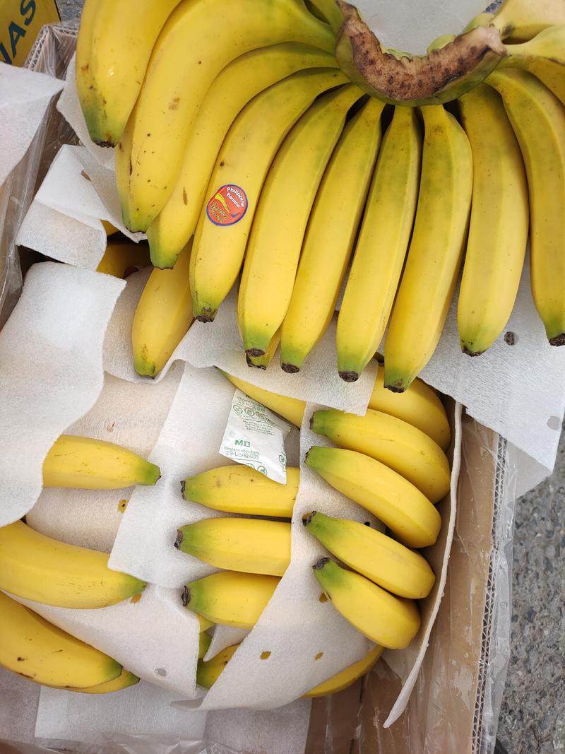 进口香蕉实力供应，一手货源，质量稳定，货源充足！