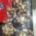 大量供应电商500g、250g