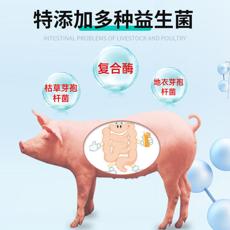 活菌益生素兽用益生菌兽用猪牛羊鸡鸭健胃促反刍增肥催肥腹泻