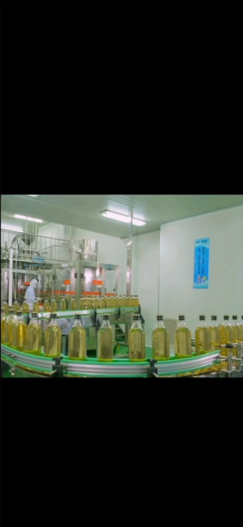 山茶油压榨一级茶油生产工厂直供质量保证散油