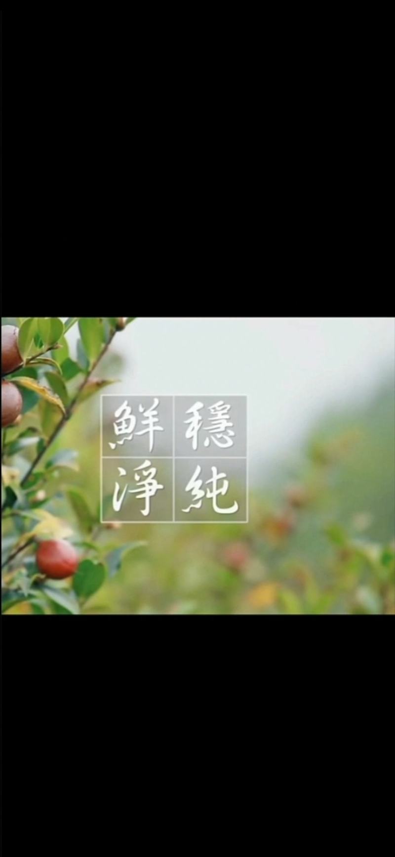 山茶油压榨一级茶油生产工厂直供质量保证散油