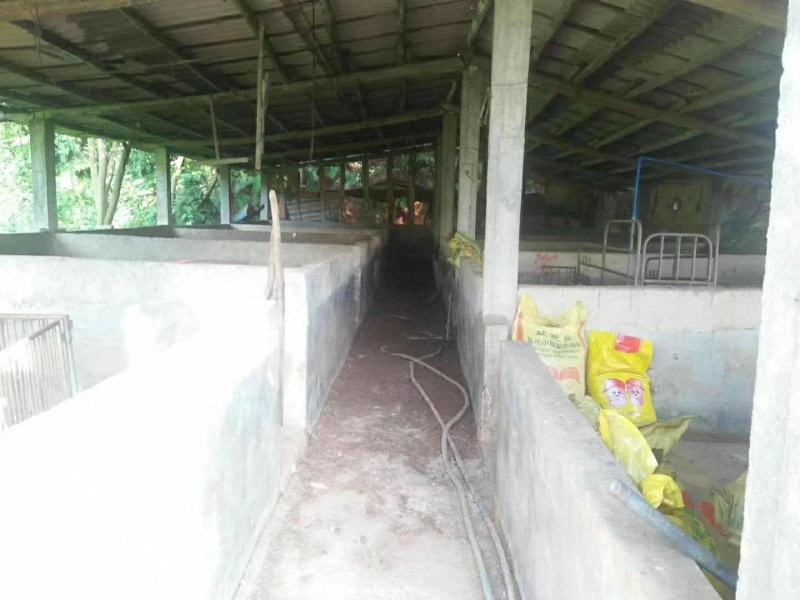 120亩山地出租，已建猪舍了，可以养殖牛羊鸡，鹅鸭等