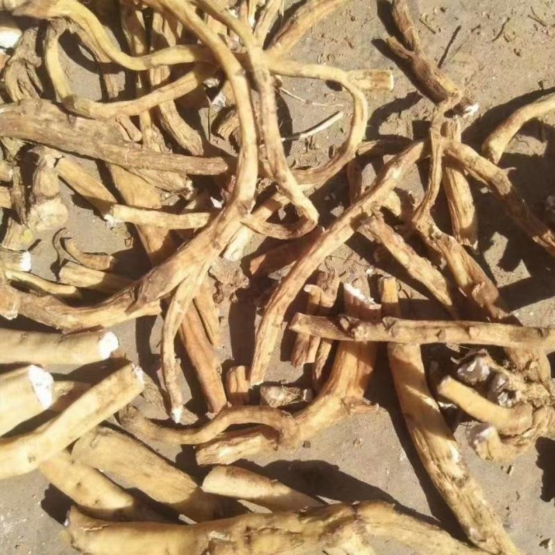 倒提壶，贵州产地新货，产地直供道地药材一手货源品质保证