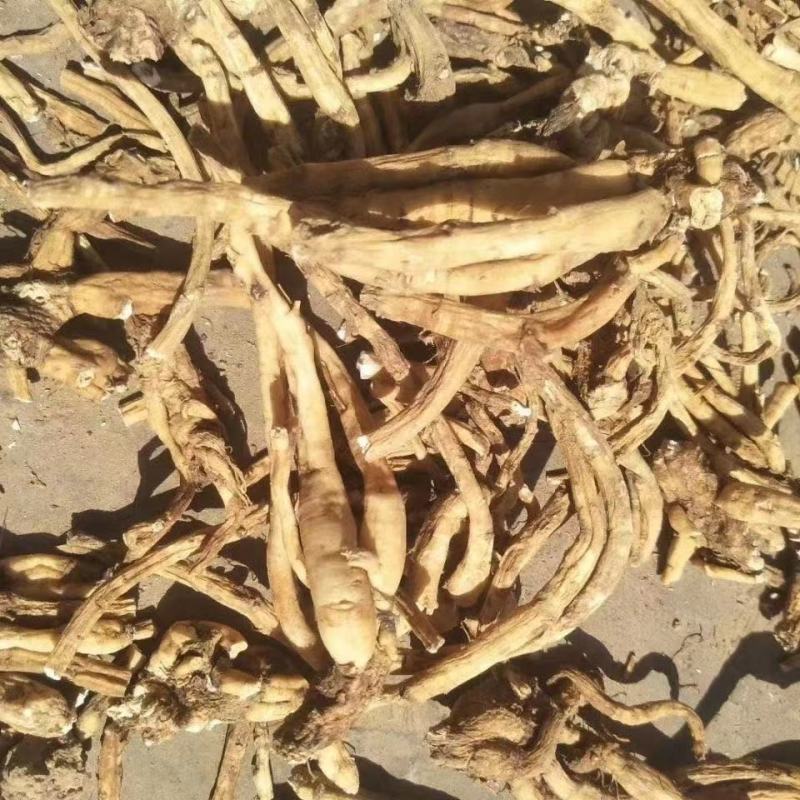 倒提壶，贵州产地新货，产地直供道地药材一手货源品质保证