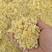 玉米蛋白发酵料降低养殖成本质量保证欢迎选购