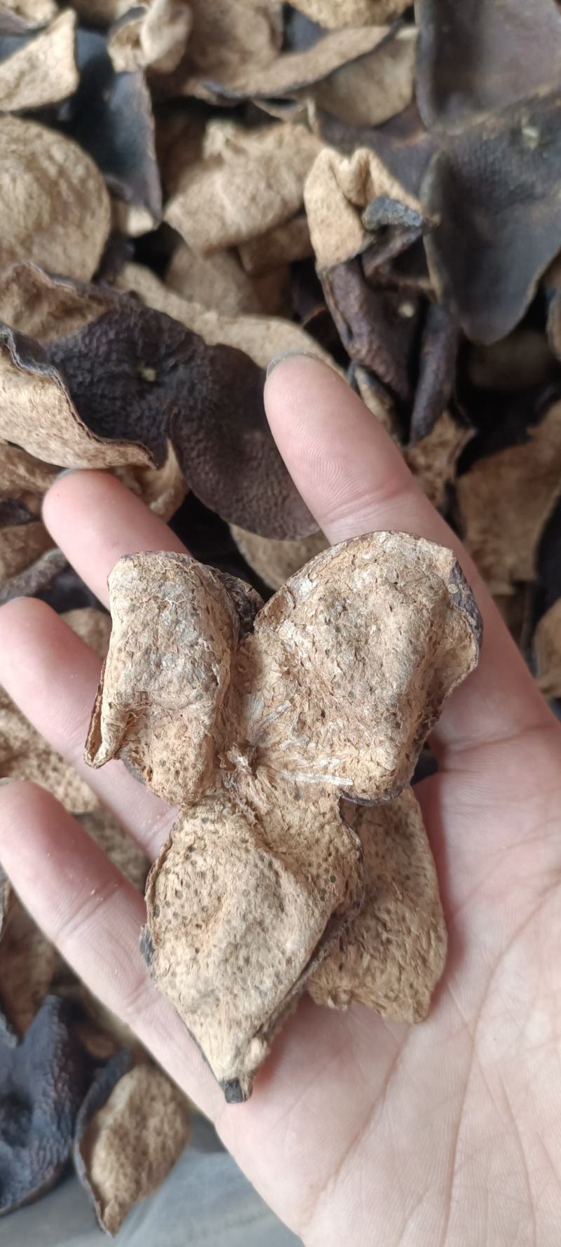 新会陈皮各种规格大货批发零售中药材一站式购物