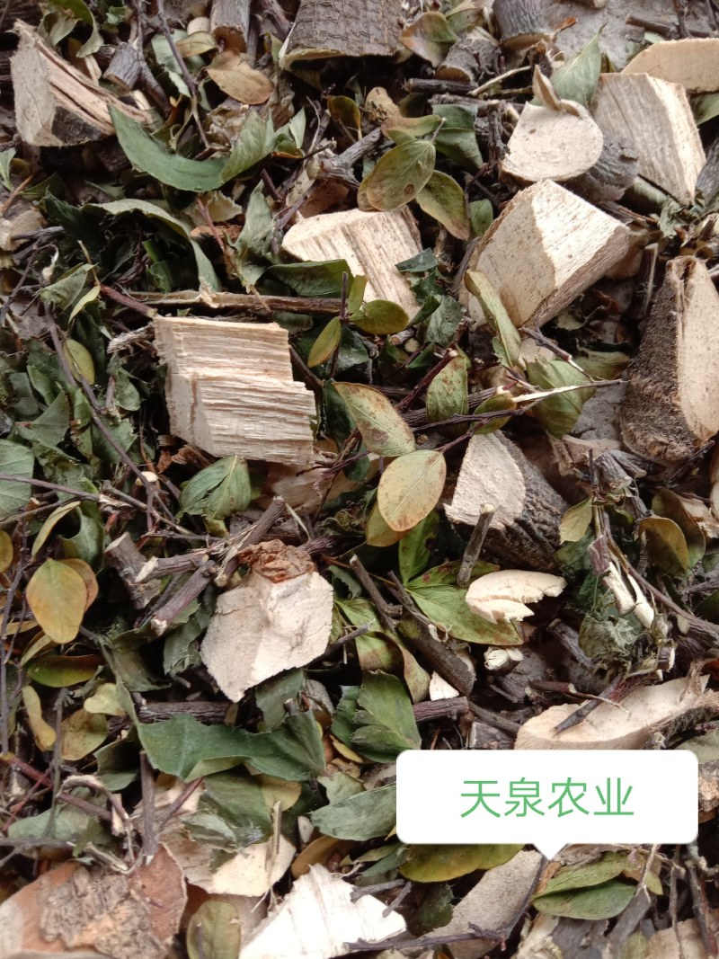 中草药了哥王，新鲜干品，无添加无污染，欢迎下单