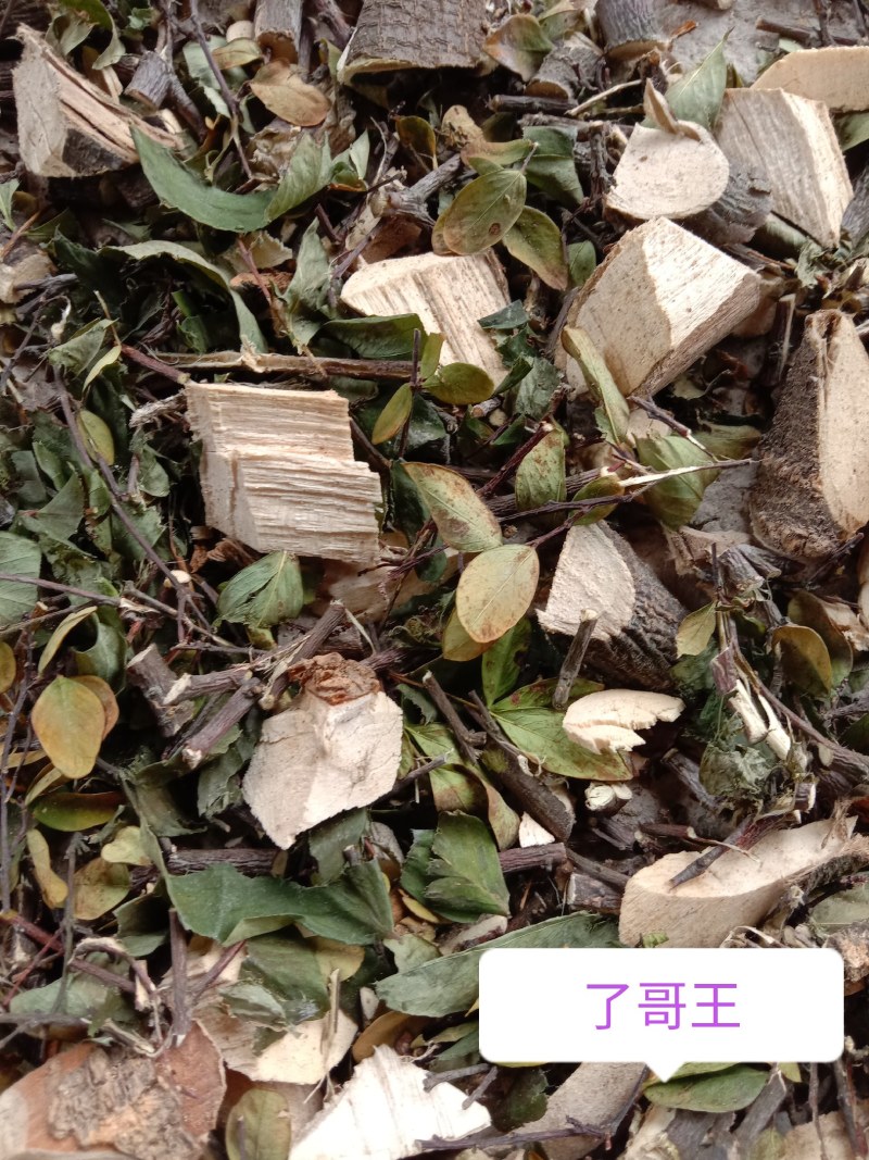 中草药了哥王，新鲜干品，无添加无污染，欢迎下单