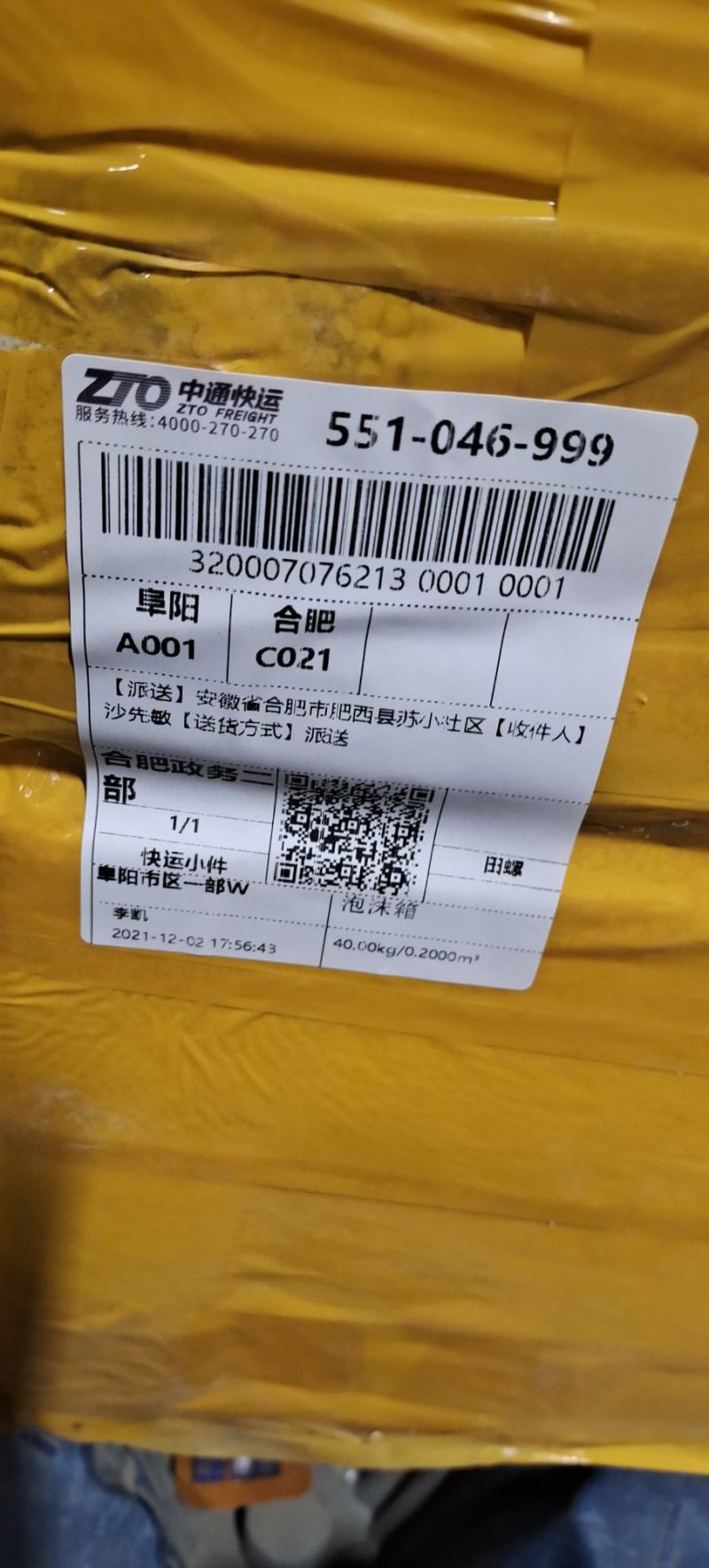 安徽厚壳田螺种螺，田螺种苗，量大优惠，教技术包回收
