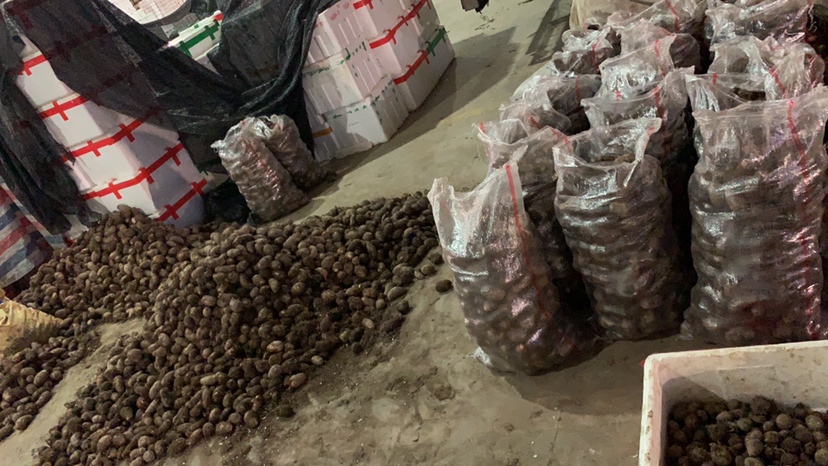 不同包装形式的芋头产品货架展示
