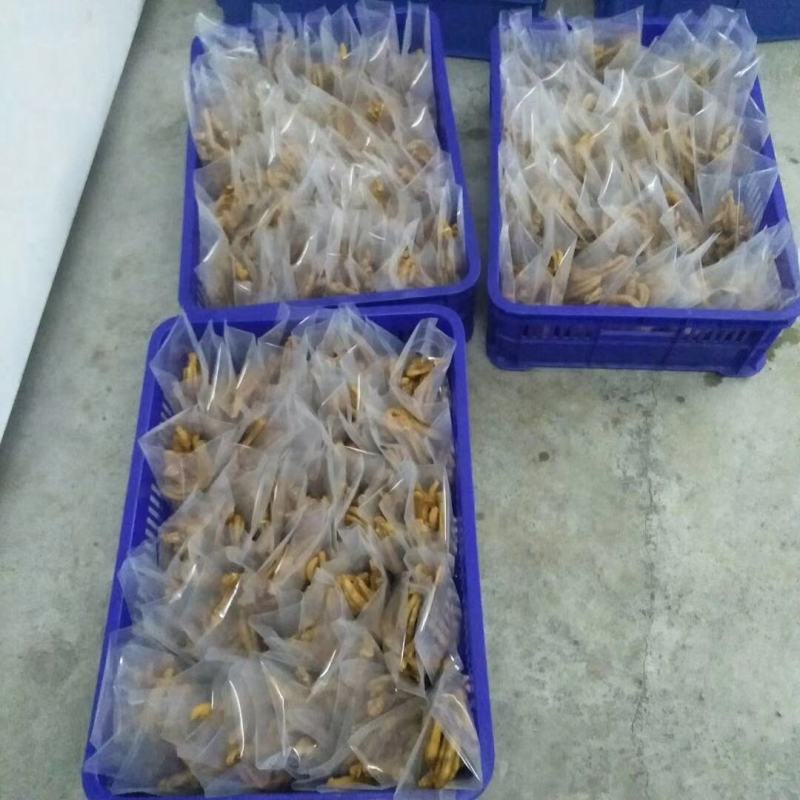 福建龙岩口味泡椒醋鸭爪鸭翅100包起发货