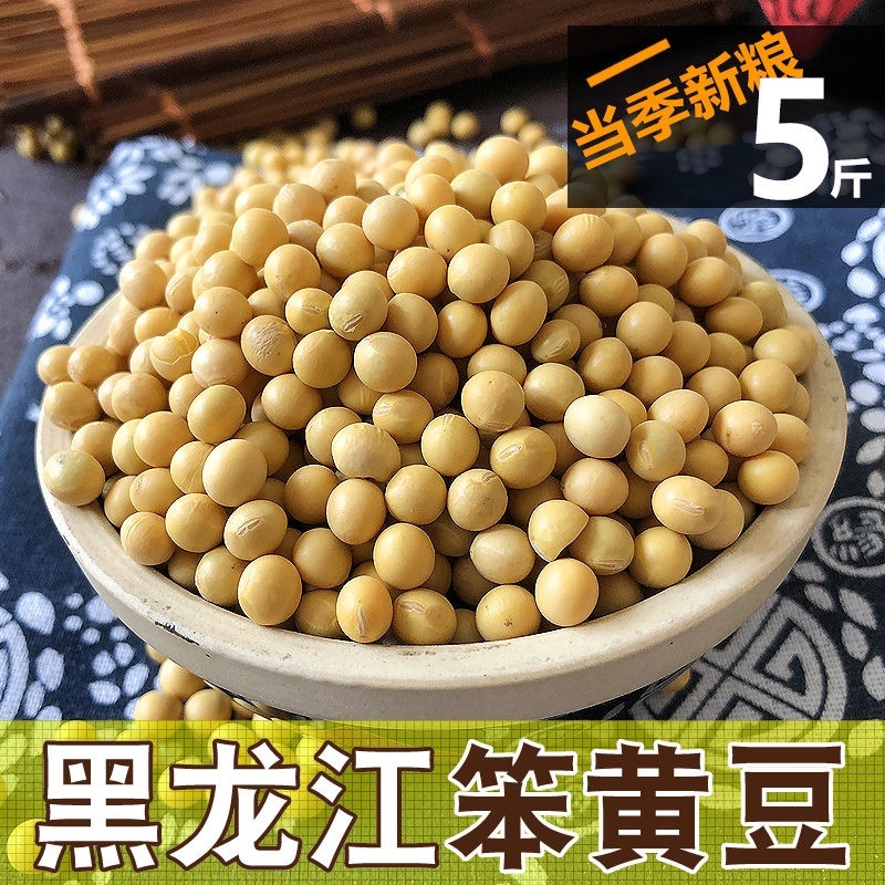 【包邮_5斤黄豆】5斤装东北黄豆发豆芽打豆浆专用