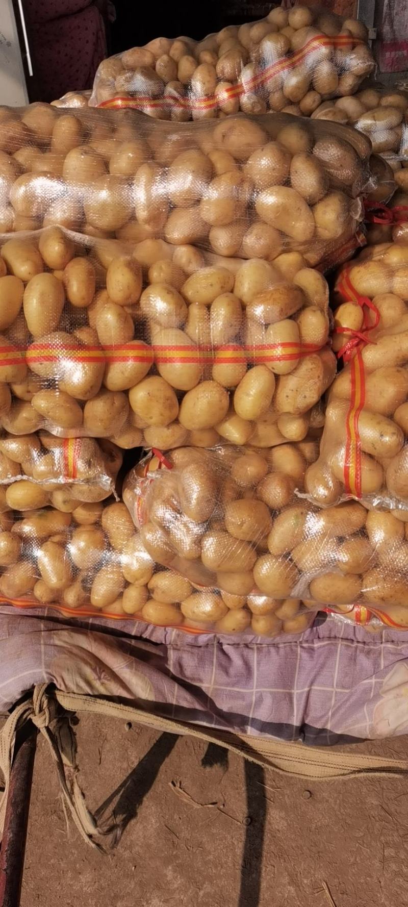 黄心靓货土豆出口，电商，市场，加工厂等，规格齐全质量好