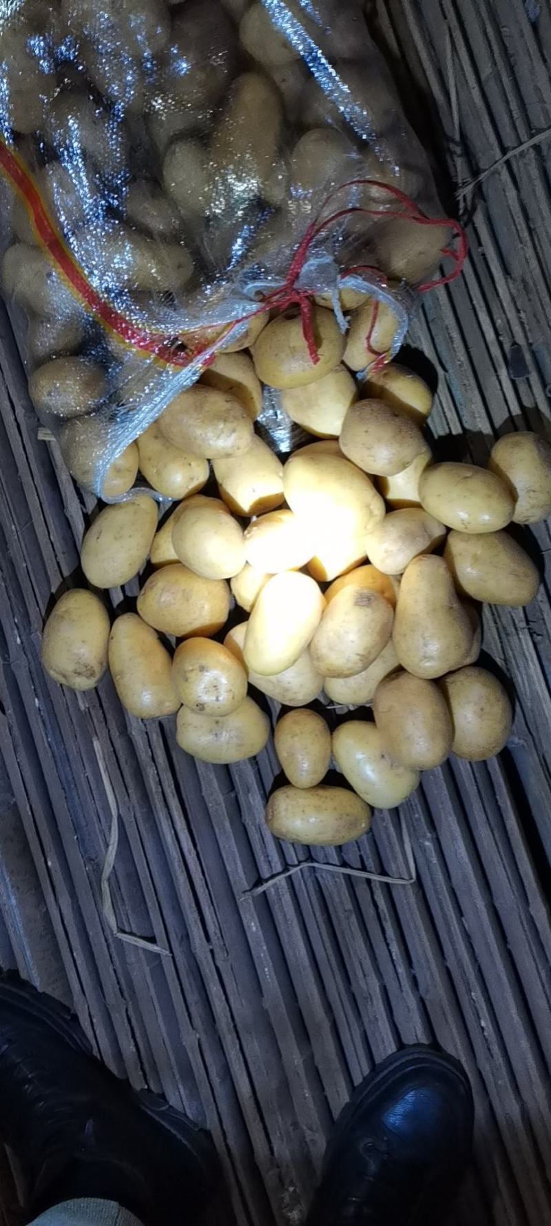 黄心靓货土豆出口，电商，市场，加工厂等，规格齐全质量好