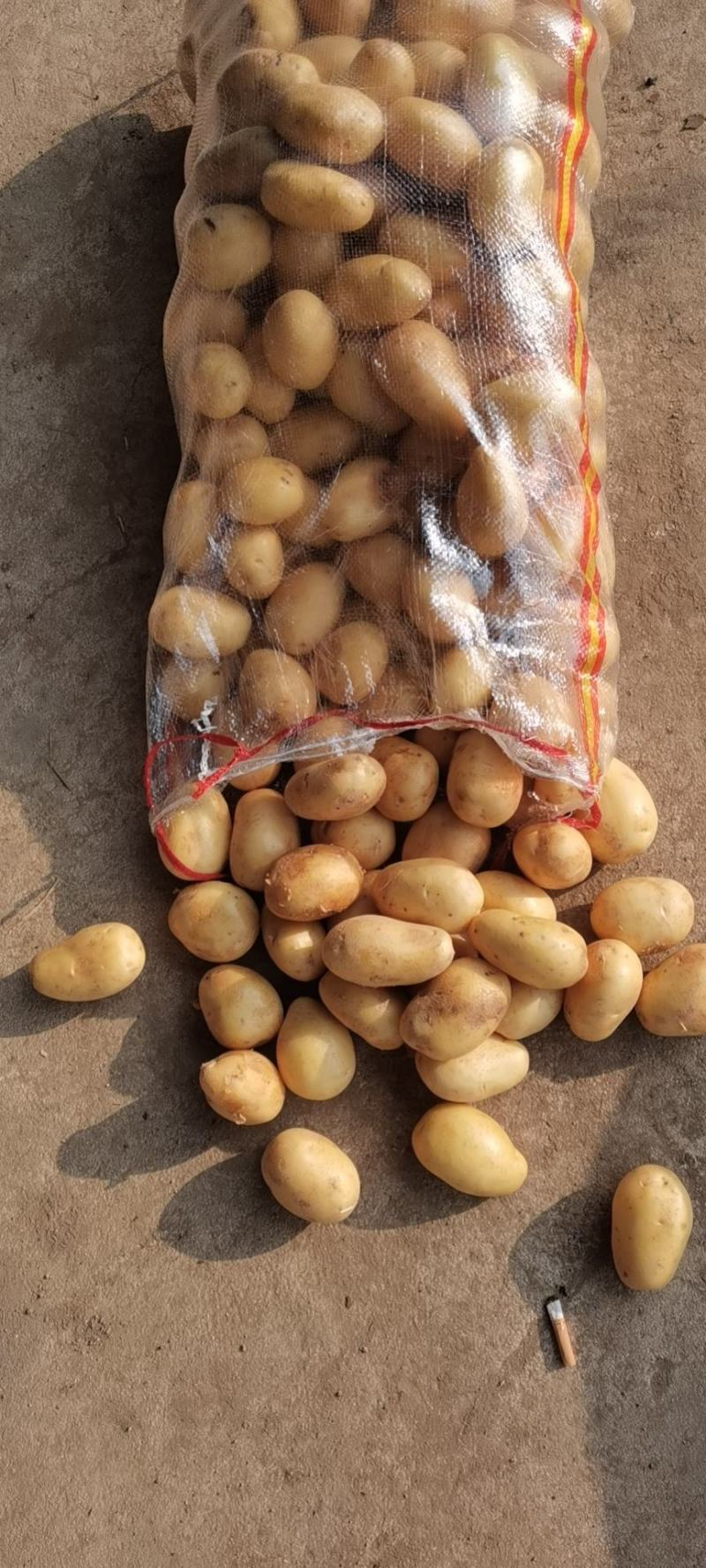 黄心靓货土豆出口，电商，市场，加工厂等，规格齐全质量好
