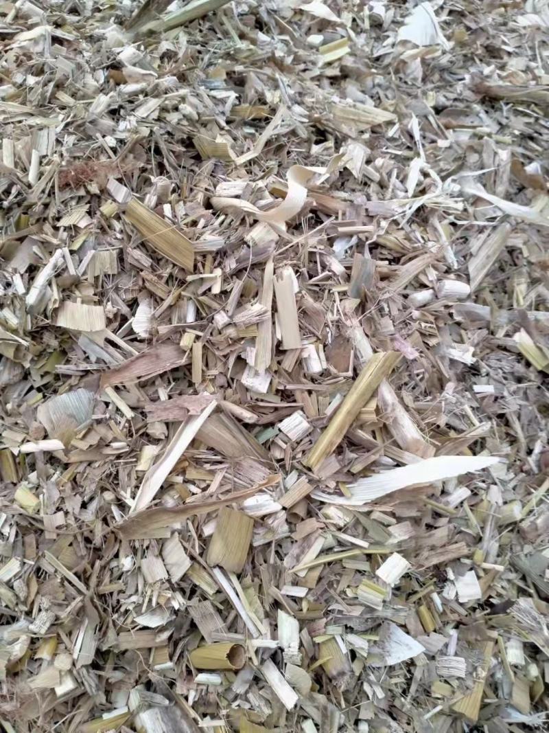 常年出售水泥窖青储水分低价格便宜质量保证