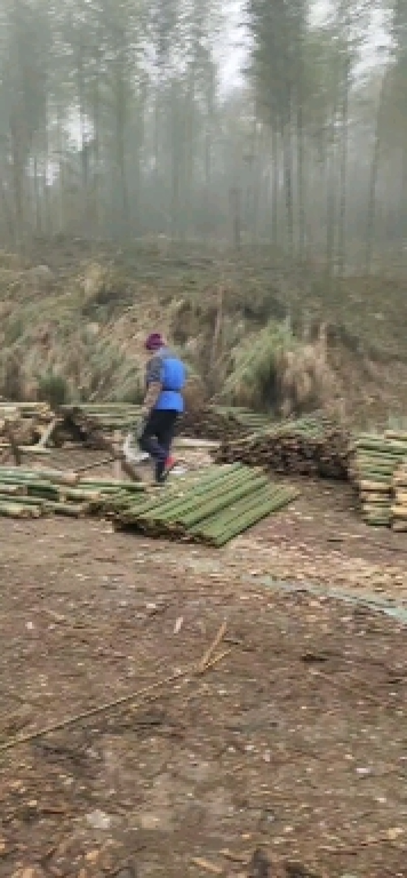 产地大棚竹竿山药网架！豆角架！东瓜架