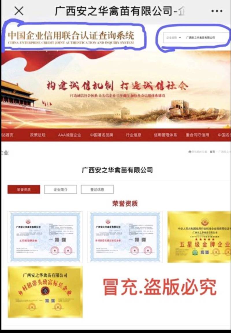 快大麻鸡苗.质量保障，店有〈诚信企业〉证书