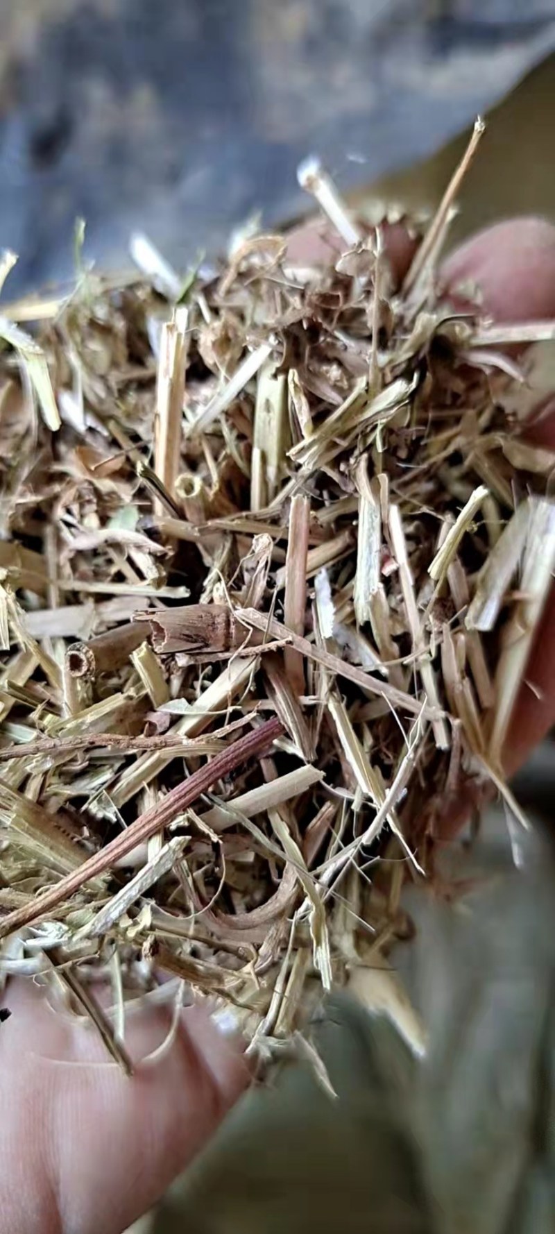 常年出售稻草，厂家直销，质量保证，欢迎选购