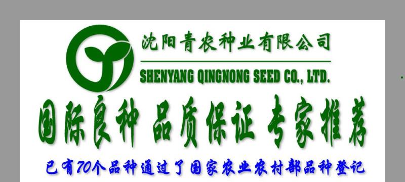 【优惠】青花六号（双红瓤金城五类）产量12000以上