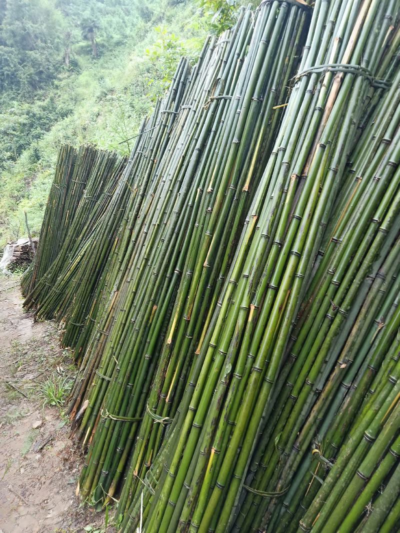 【帮农竹业】精选竹竿3~4m规格接受定制价格好商议