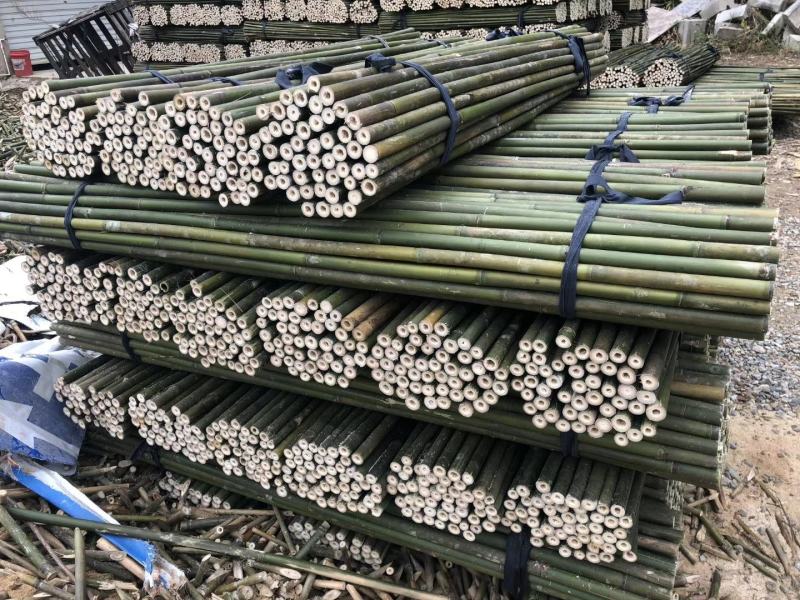 【帮农竹业】精选竹竿3~4m规格接受定制价格好商议