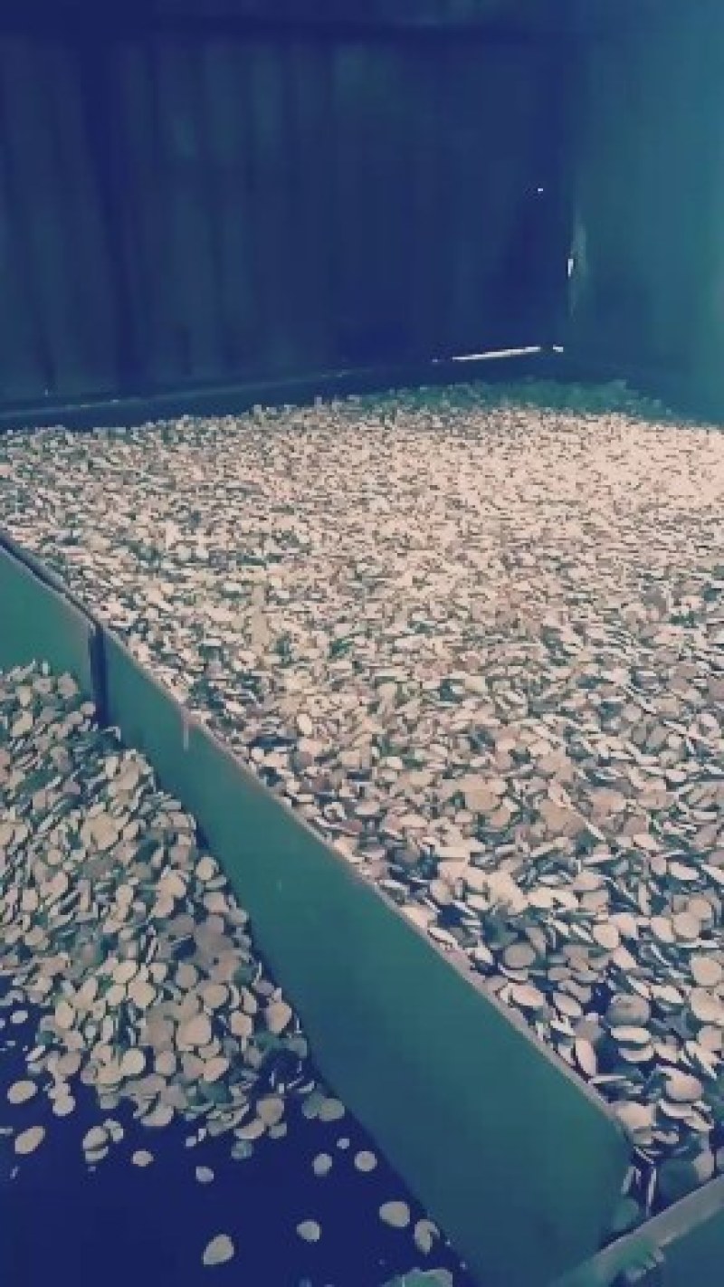 彭州市慧康农业有限公司长期经营川芎，三七，泽泻