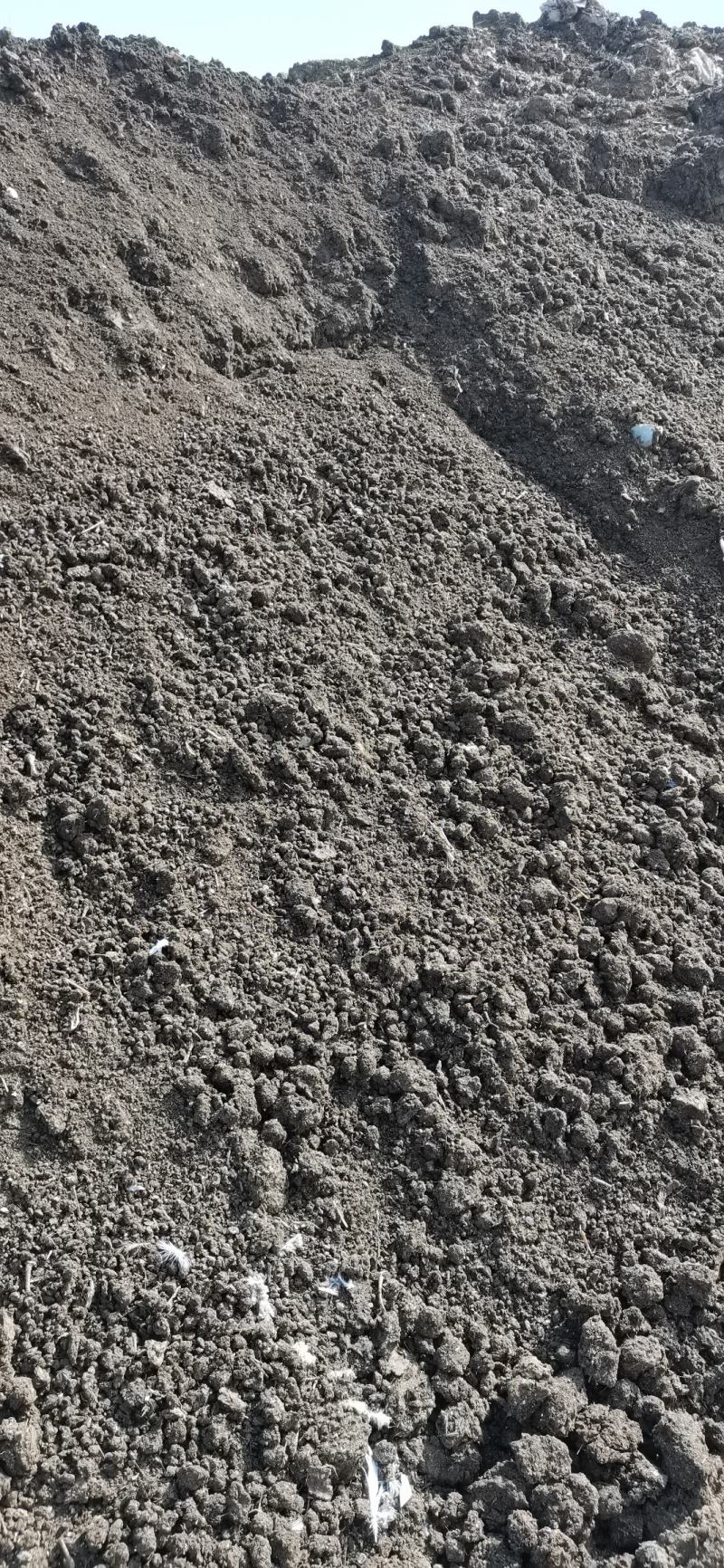 新疆阿克苏大型国企一级原粮喂食鸽子粪喂鱼种地果蔬有机肥