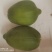 广西木瓜新鲜蔬菜木瓜木瓜沙拉木瓜煲汤下奶