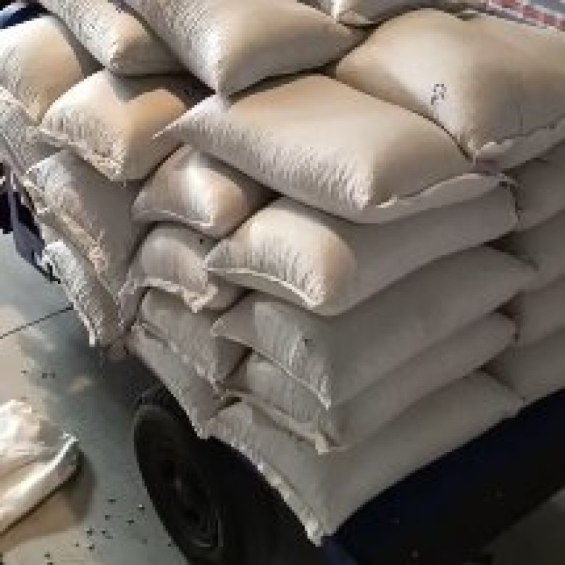 东升一号芽豆！及其它芽豆所有商品不包邮！物流发货！