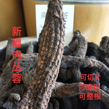 肉苁蓉，软大芸，整根，药食同源