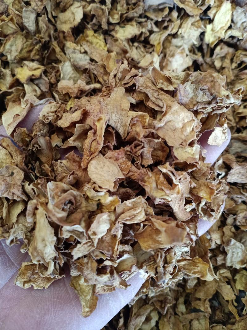 栀子花，中药材栀子花质量保证经营各种中药材欢迎咨询选购！