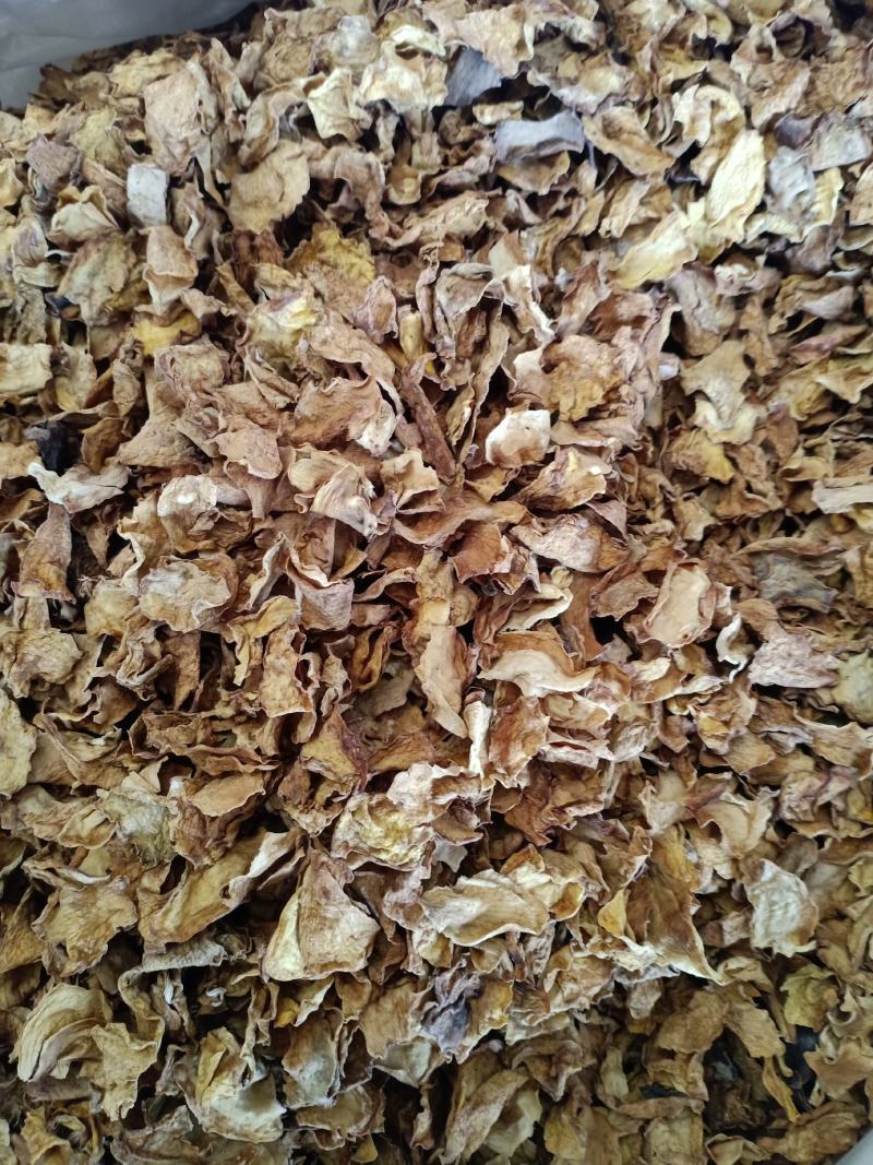 栀子花，中药材栀子花质量保证经营各种中药材欢迎咨询选购！