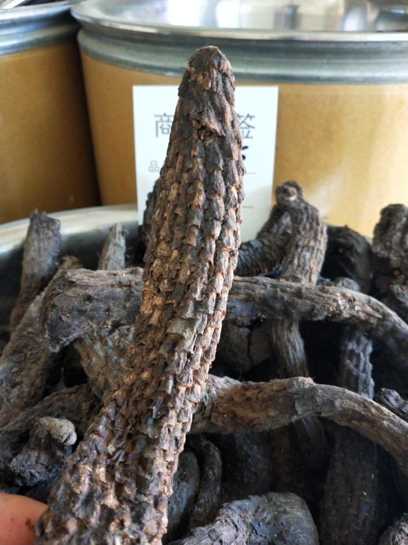 肉苁蓉，软大芸，整根，药食同源
