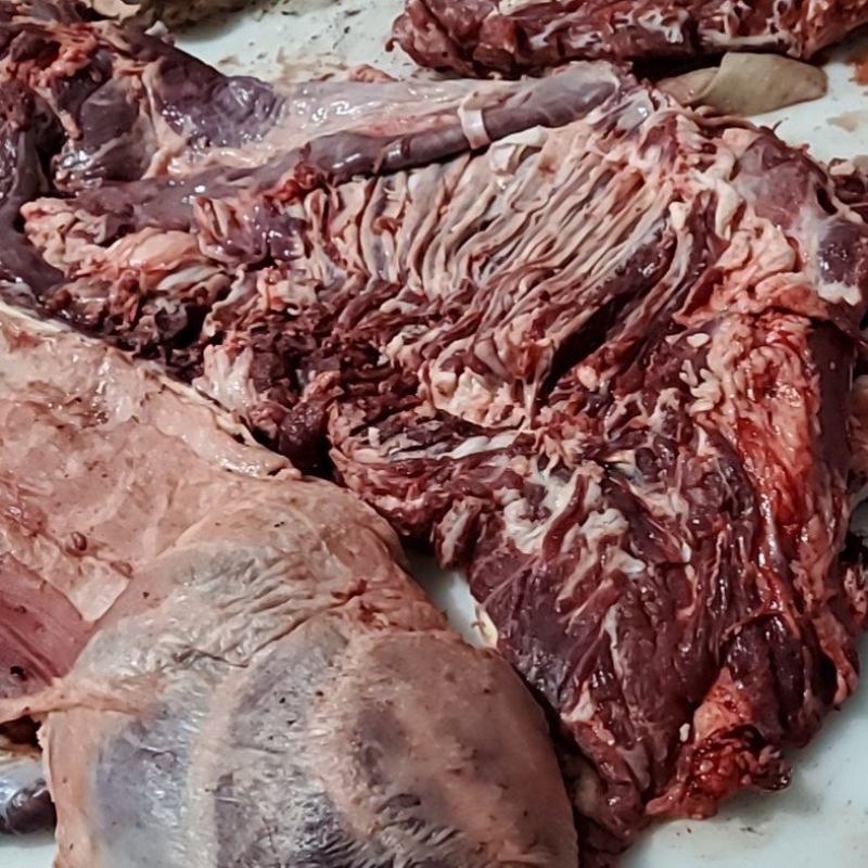 鲜冻剔骨羊板肉现宰现发支持视频看货欢迎联系