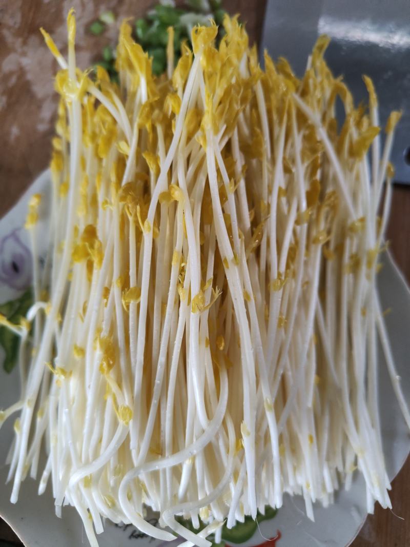 芽苗类豌豆芽豌豆苗