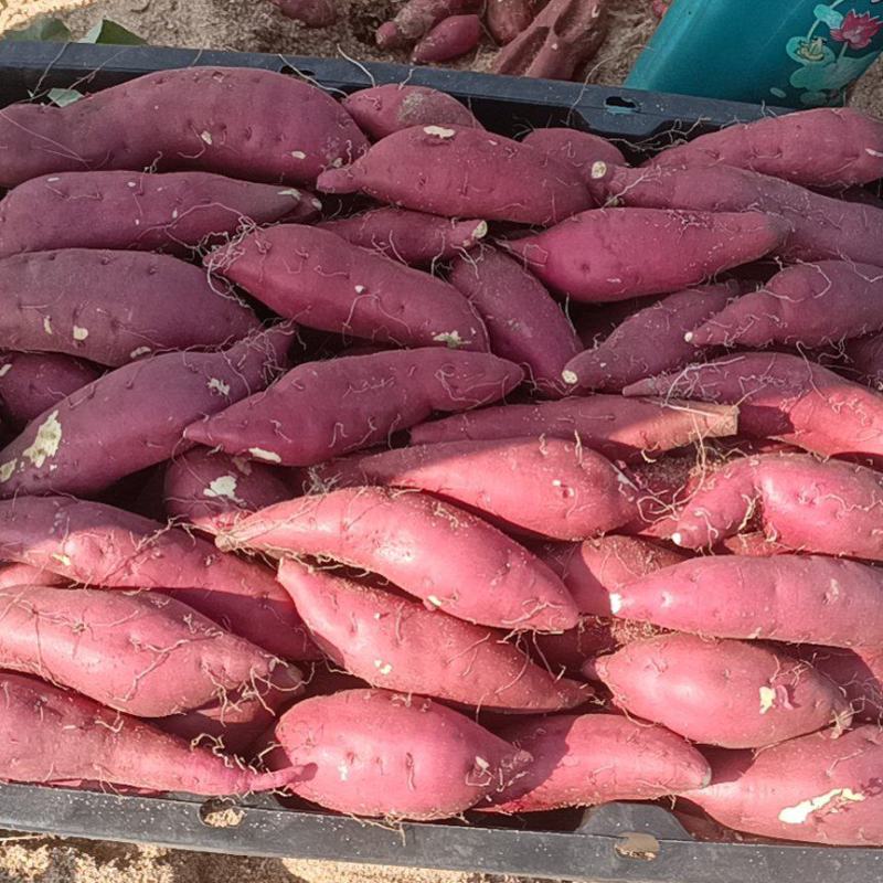 小香薯