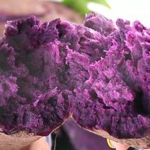 紫萝兰紫薯全国一件顺丰只做精品货