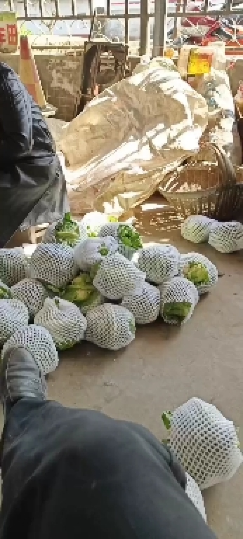 陕西汉中洋县菜花紧花2~3斤乳白有需要的朋友请及时联系