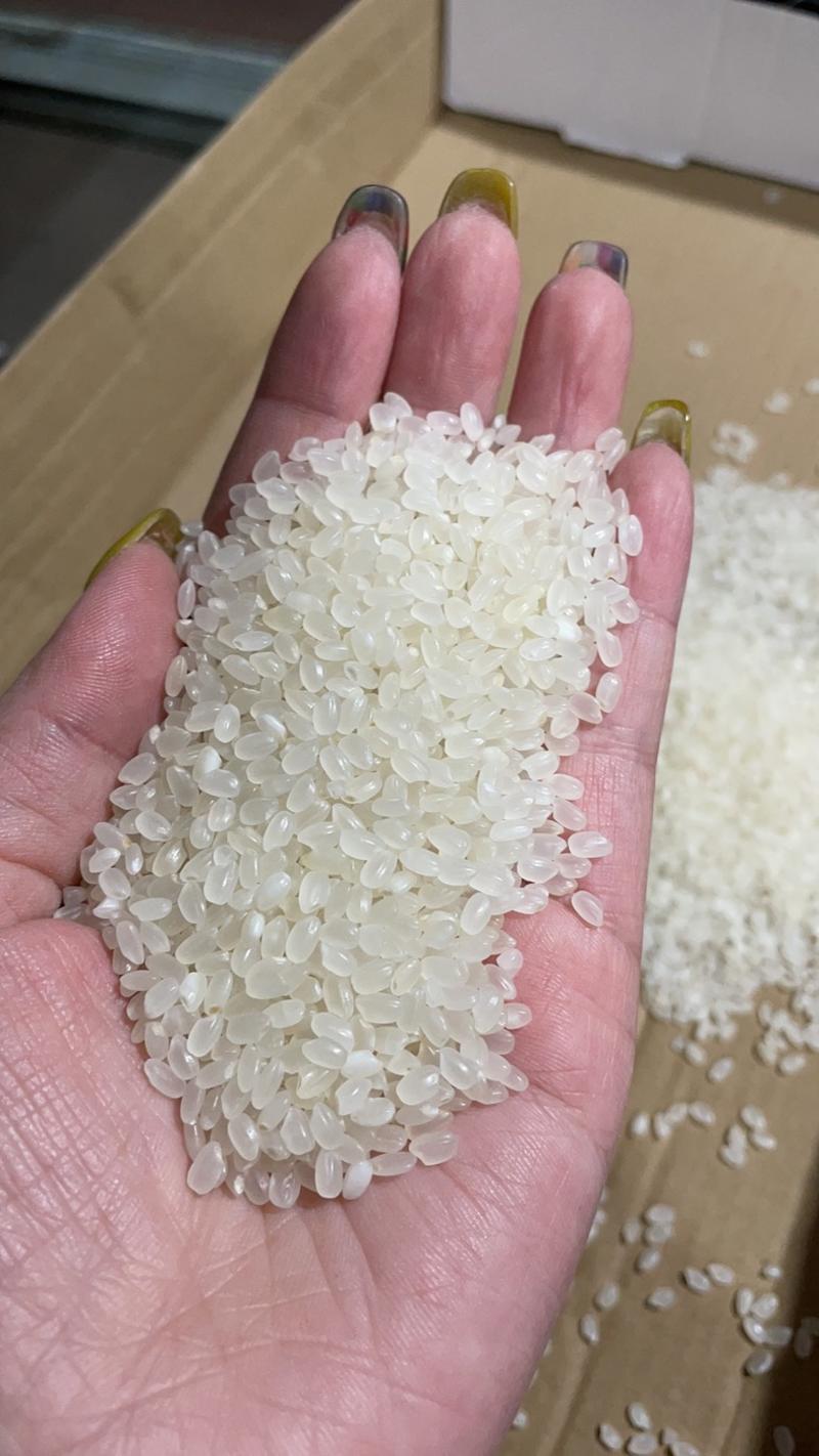 东北珍珠米新粮大量有货水分安全