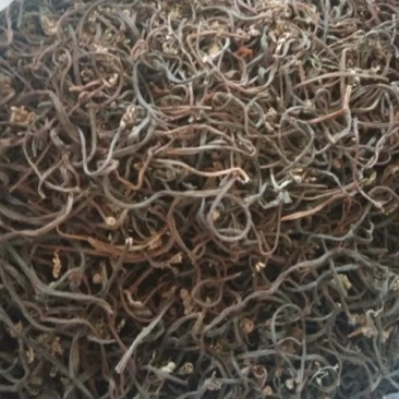 正宗东北蕨菜干细口感好特别好优质精品欢迎