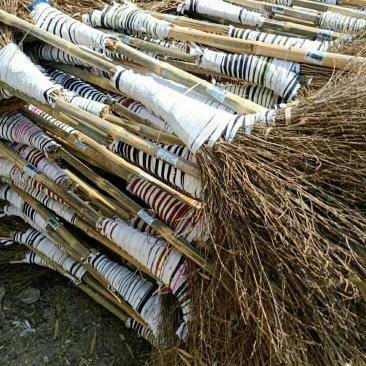 竹枝，竹扫把