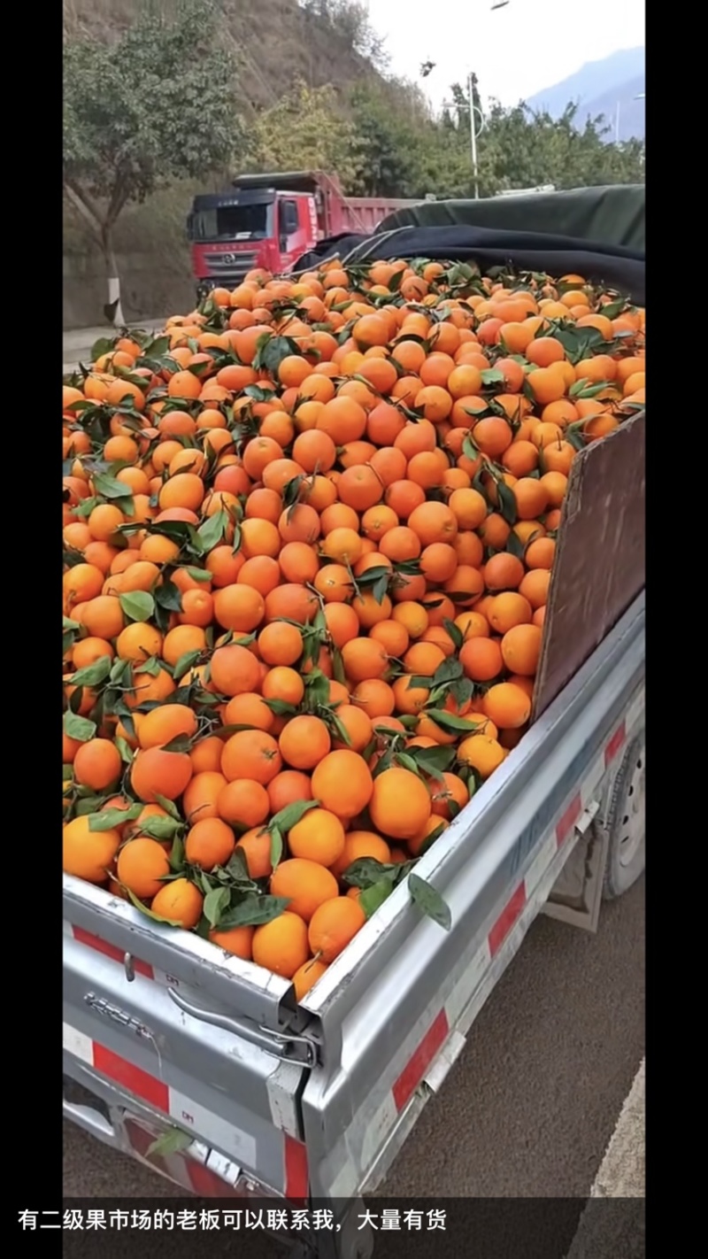 专业做一树清：高等次果：二级果：次果：托板车