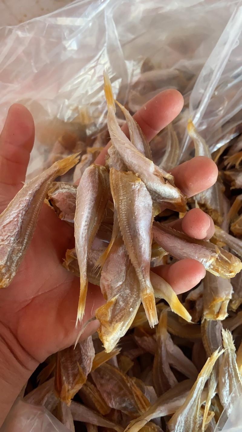 北海特产小鱼干白菇鱼玉角、红娘鱼海鲜干货